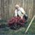 Gaye A Shank's profile image
