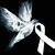 Yailin Alkauter's profile image