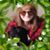Mary P Popp's profile image
