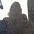Lisa Wakefield's profile image