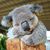 Kathy Stambaugh's profile image