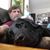 Glenn Yendav's profile image