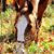 Pam Kendrew's profile image