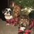 Terry Pope-O'Donnell's profile image