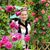 Heather Adair's profile image