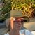 Kristina Sommer's profile image