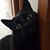 Michelle Gruby's profile image