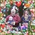 Kim Dearhart's profile image