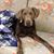 Althea Gardner Perley's profile image