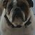 Murph Braden's profile image