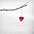Ana Rosell Fales's profile image
