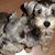 Roberta Hambach's profile image