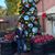 Lindsay Sepulveda's profile image