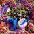 Andrea Lyn Green's profile image