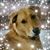 Annette Knighten's profile image