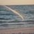 Trish Schmidt's profile image