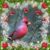 Stacey Stachewicz's profile image