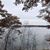 Lori Kaplan Johnson's profile image