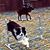 Linda Davidson's profile image