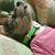 Karen Roberson's profile image