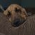 Kim Zimlich's profile image
