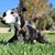 Dana Collett's profile image