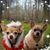Debbie Lortie's profile image