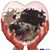 Lucila M Agudelo's profile image