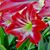 Wayne AndLinda Brunson's profile image