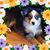 Julie Verbeck Radomski's profile image