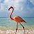 Cheryl R Crain's profile image