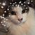 Arletta Derr's profile image