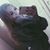 Keely Luckman's profile image