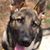 Victor Barcenas's profile image