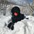 Pete Alfino's profile image