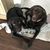Denise Filipponi Smith's profile image
