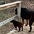 Sheila McGeehan Purdy's profile image