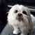 Kelly Pattillo's profile image