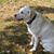 Pam Burlingame's profile image