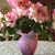 Ruth Lasley's profile image