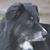 Amber Ulrick's profile image