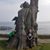 Ronald Whitton's profile image
