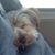 Anne Langevin's profile image