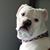 Heilyn Pino's profile image