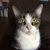 Jennifer Coleman's profile image