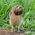 Dawn Wirt's profile image