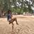 Laura Escalante's profile image