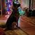 Jill Myers's profile image