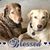 Debi Gilligan Lundstrom's profile image