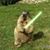 Greg Black's profile image
